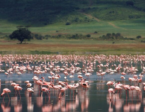 A touch of Lake Natron and Ol Doinyo Lengai