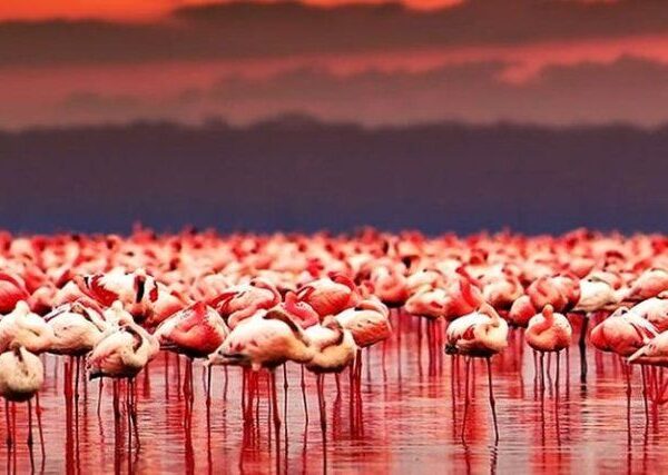 A touch of Lake Natron and Ol Doinyo Lengai