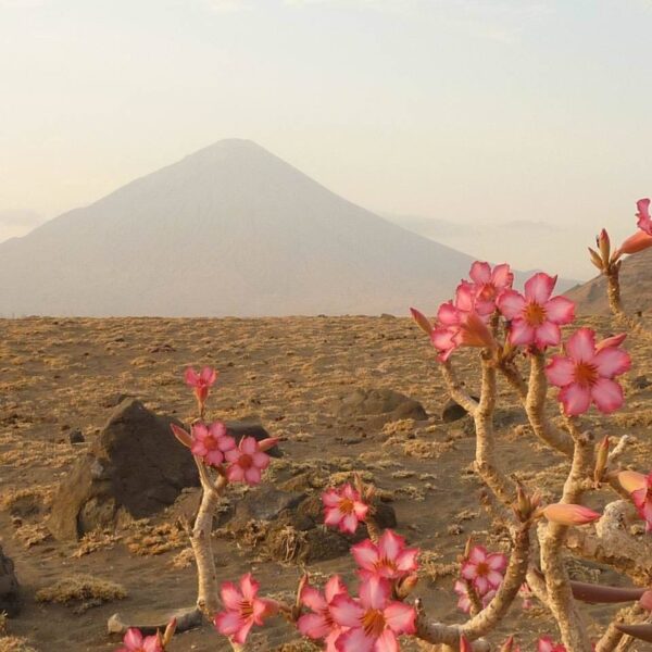 A touch of Lake Natron and Ol Doinyo Lengai