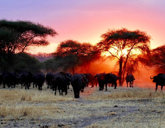 7 Days Tanzania Off the Beaten Track