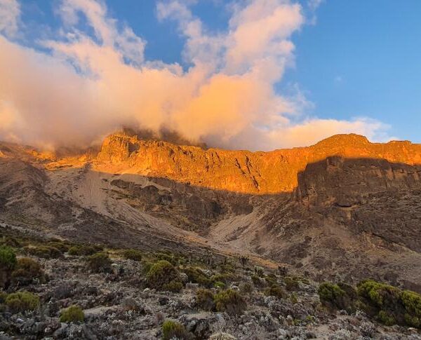 7 Days: Kilimanjaro Hiking via Rongai Route