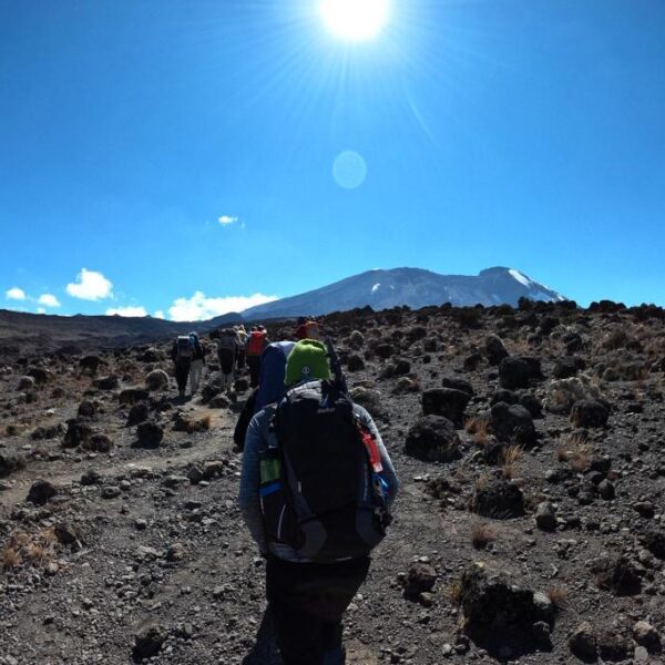 6 Days: Kilimanjaro Hiking via Umbwe Route