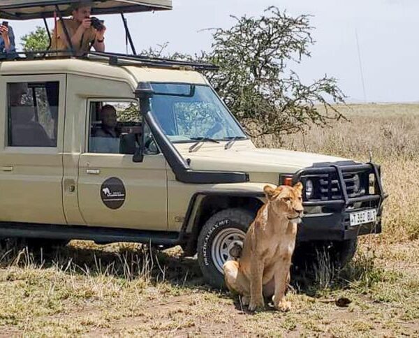 2 Days: Baobab and Acacia Trees Safari