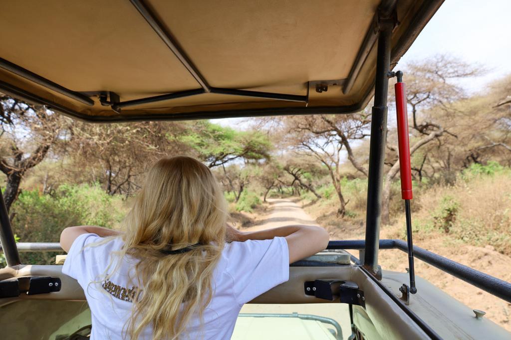 3 Days: Bumpy Road Safari