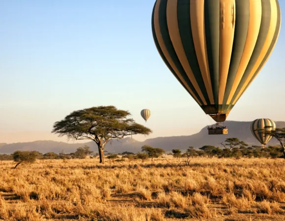 Hot Air Balloon Safari